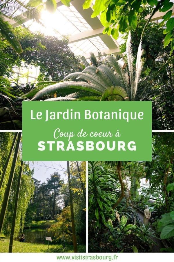Appartement 6 Personnes Strasbourg Proche Centre Ville & Parking Εξωτερικό φωτογραφία